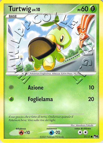 Turtwig Lv.10