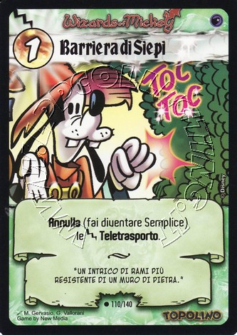 Barriera di Siepi