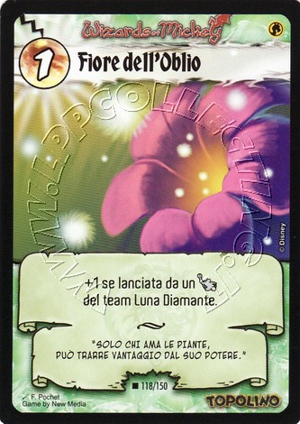 Fiore dell
