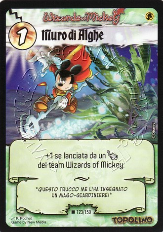 Muro di Alghe