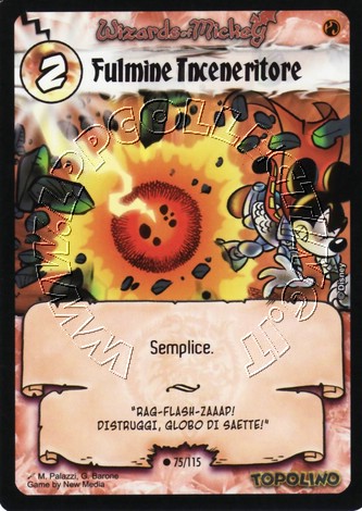 Fulmine Inceneritore