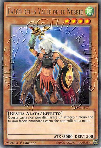 Falco della Valle delle Nebbie