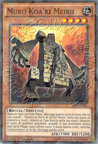 Muro Koa