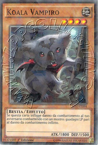 Koala Vampiro