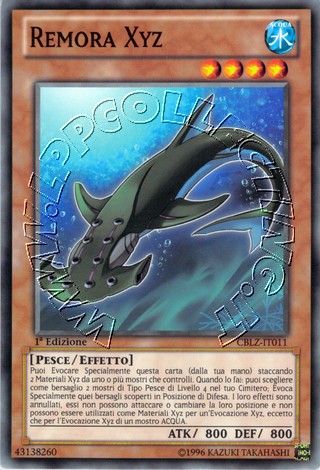 Remora Xyz