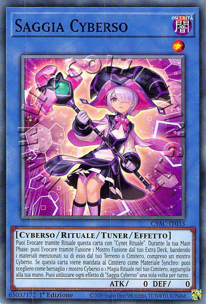 Saggia Cyberso