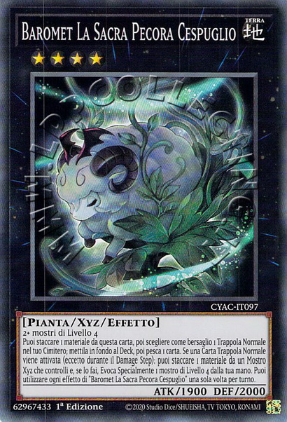 Baromet La Sacra Pecora Cespuglio