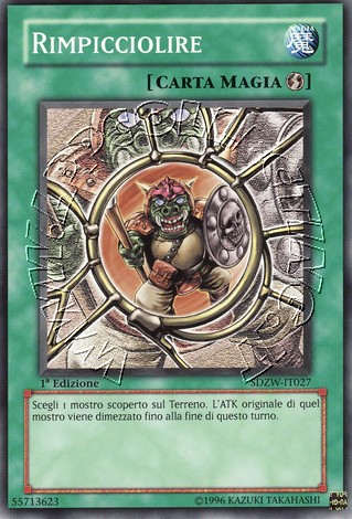 Rimpicciolire