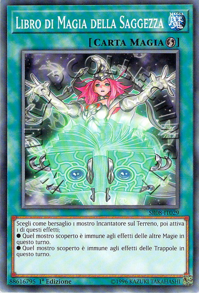 Libro di Magia della Saggezza