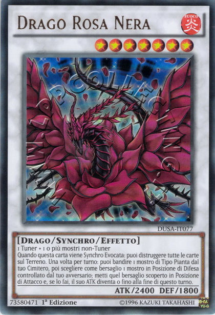 Drago Rosa Nera 
