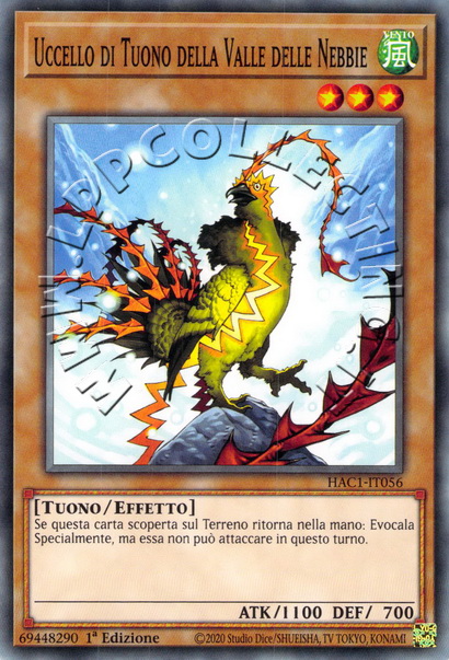 Uccello di Tuono della Valle delle Nebbie