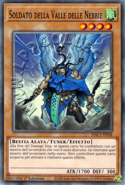 Soldato della Valle delle Nebbie