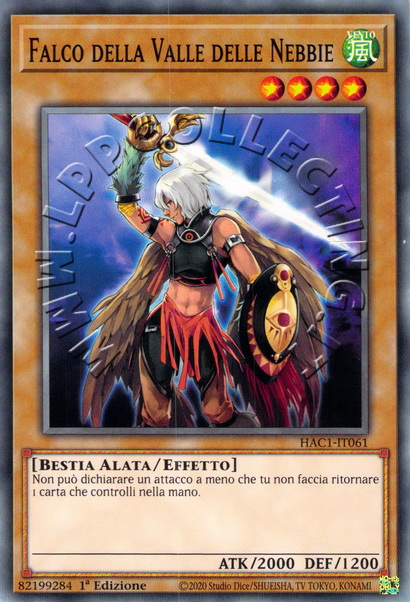 Falco della Valle delle Nebbie
