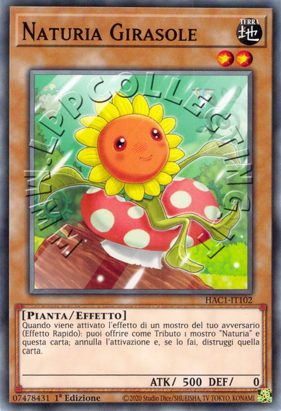 Naturia Girasole