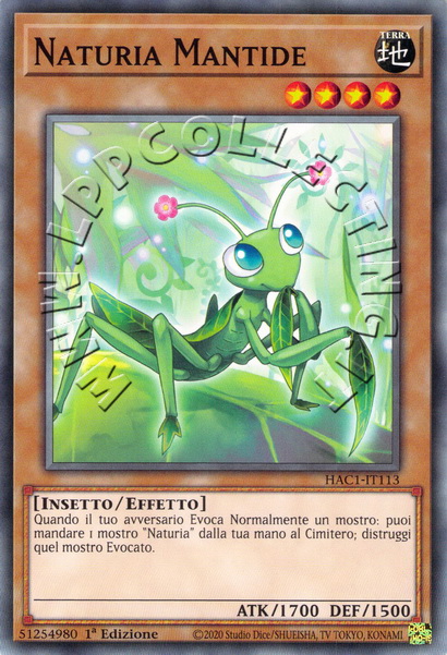 Naturia Mantide