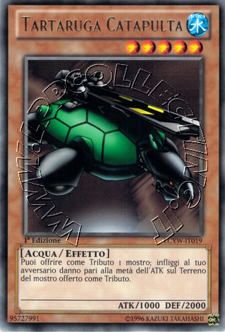 Tartaruga Catapulta