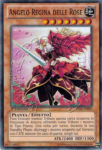 Angelo Regina delle Rose