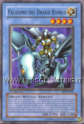 Paladino del Drago Bianco