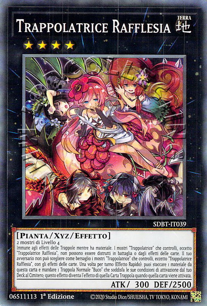 Trappolatrice Rafflesia