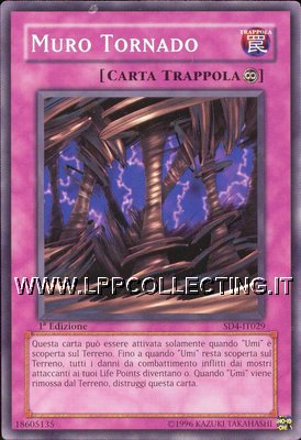 Muro Tornado