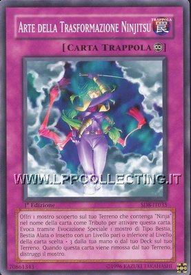 Arte della Trasformazione Ninjitsu