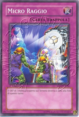 Micro Raggio