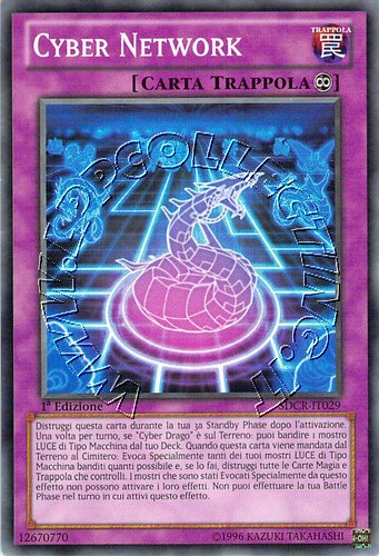 Cyber Network