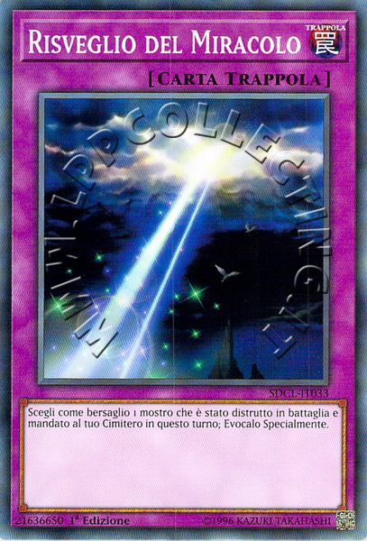 Risveglio del Miracolo