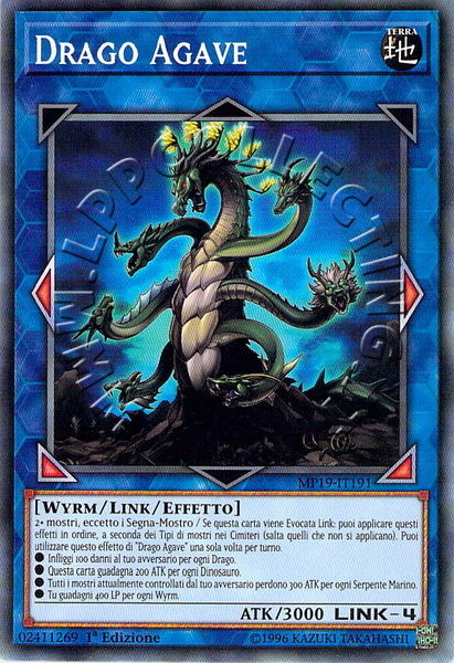 Drago Agave