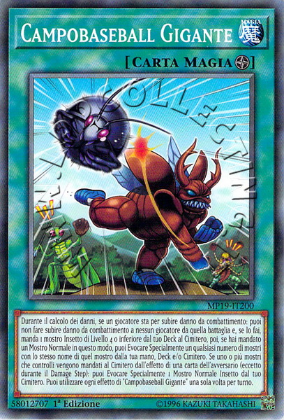 Campobaseball Gigante