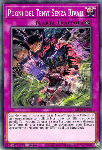 Pugni del Tenyi Senza Rivali
