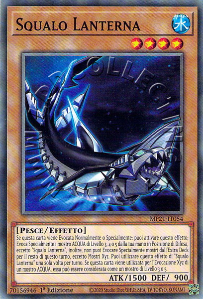 Squalo Lanterna