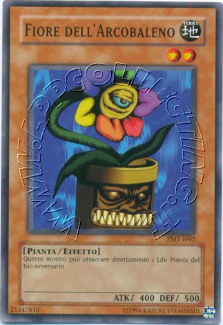 Fiore dell