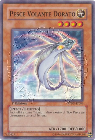 Pesce Volante Dorato