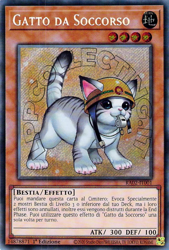 Gatto da Soccorso