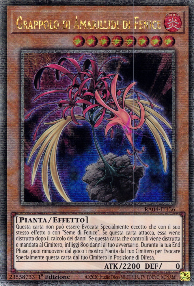 Grappolo di Amarillidi di Fenice