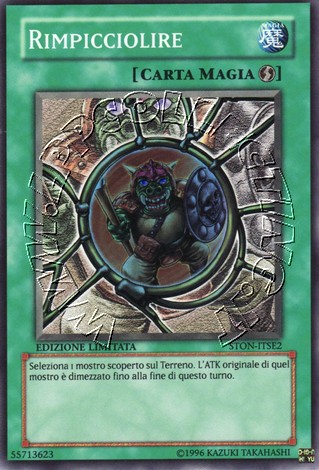 Rimpicciolire