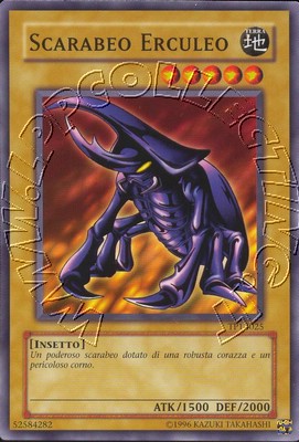 Scarabeo Erculeo