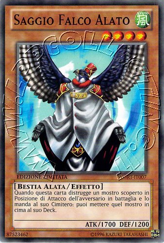 Saggio Falco Alato
