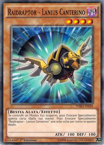 Raidraptor - Lanius Canterino