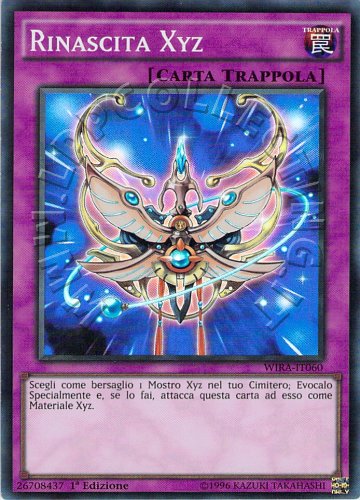 Rinascita Xyz