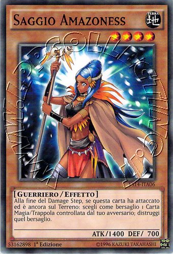 Saggio Amazoness