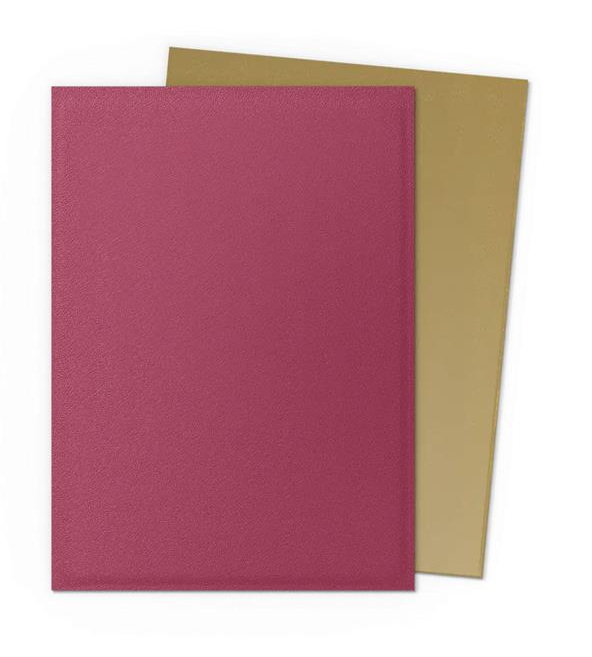 [DM20] Dragon Shield - Confezione 100 Standard Size Matte Dual Sleeves Red Gold (Anniversary Edition