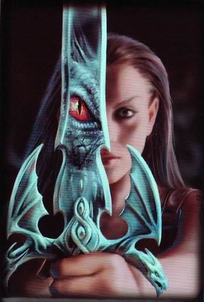 Max Protection - [13] Conf. 50 Sleeves small-size Dragon Reflector