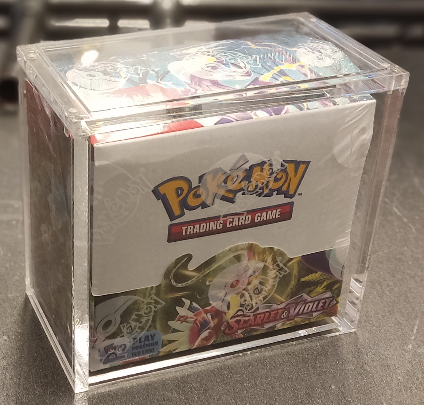 Scarlet & Violet ENG - Box 36 booster pack + Case in Plexiglass Cards Collection